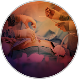 Surgical Instruments  border=