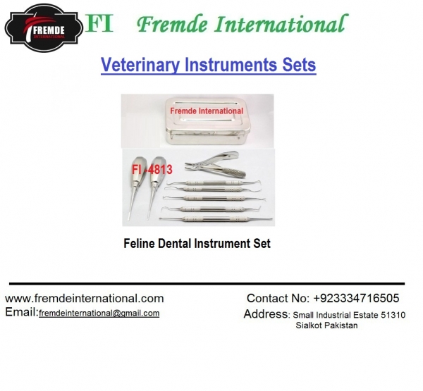 Feline Dental Instrument Set border=