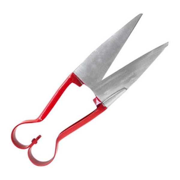 Sheep Clipper border=