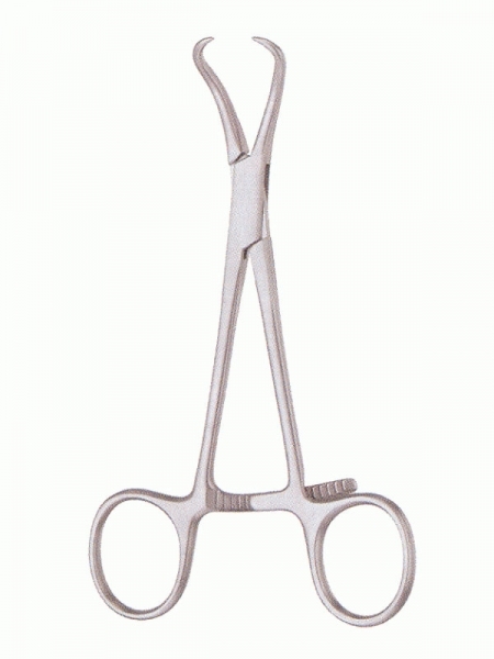 Bone Holding Forceps border=