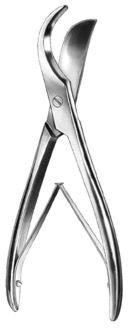 Cardiovascular border=