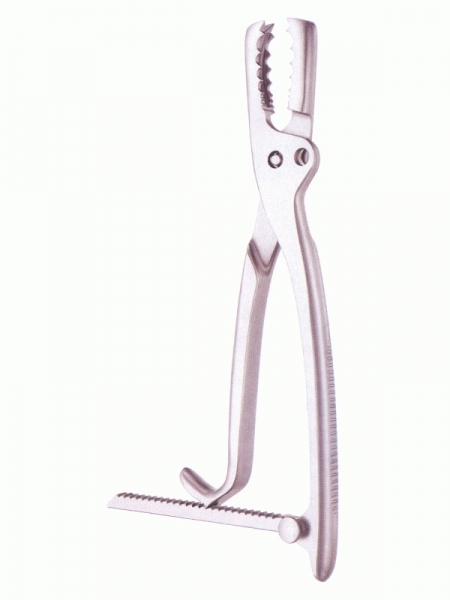 Bone Holding Forceps border=