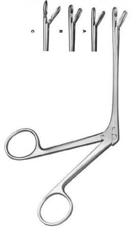 Watson-Williams  border=