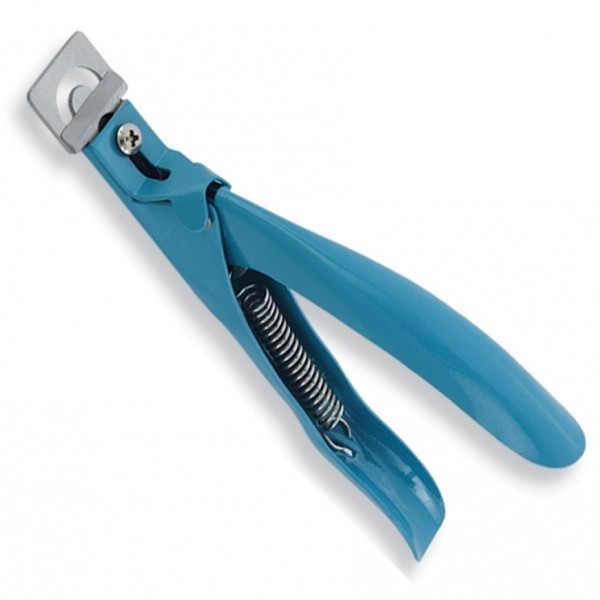 Pedicure & Nail Care border=