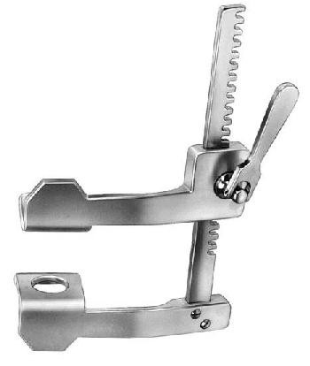 Finochietto, Baby border=