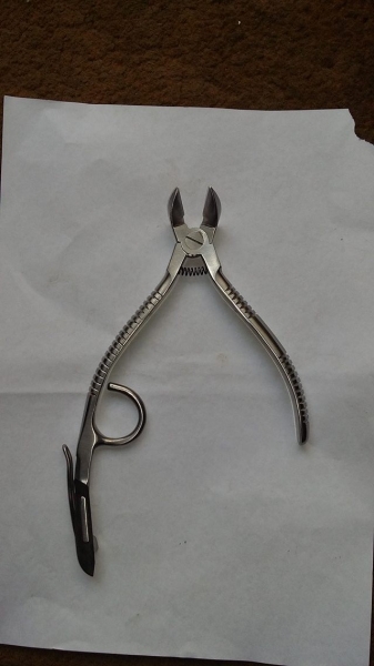 Castration Forceps border=