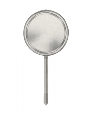  SIMPLE STEM PLANE 4  border=