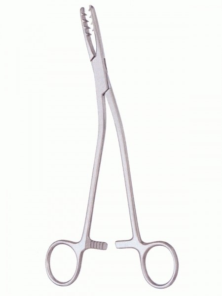 Bone Holding Forceps border=