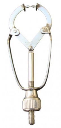 Matrix Retainer Ivory With Shield border=