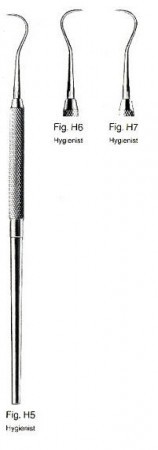 Hygienist Fig- H5 border=