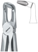  Roots, Very Fine Beak 51A  border=