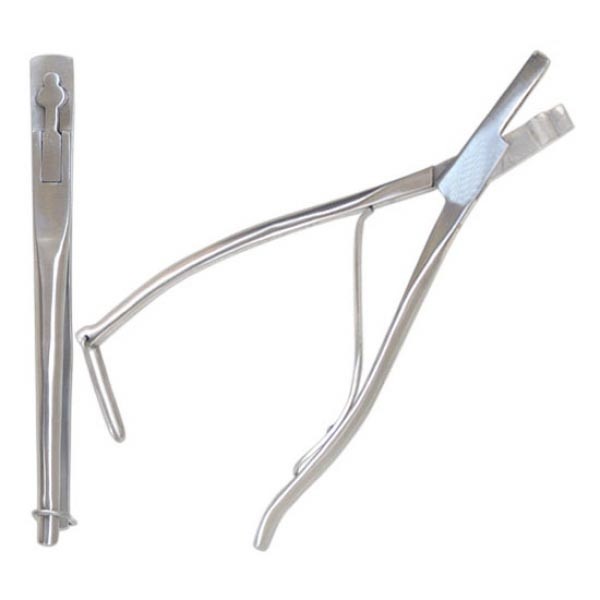 Cattle Marking border=