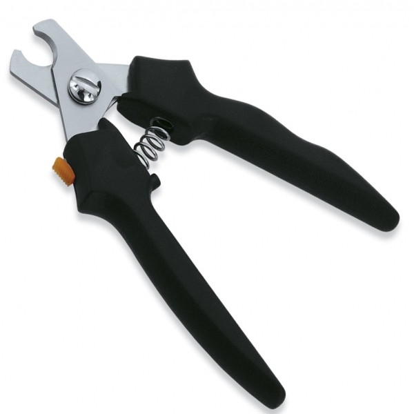 Pedicure & Nail Care border=