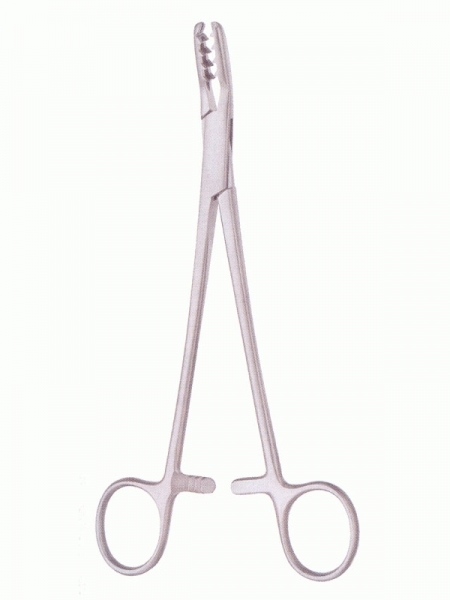 Bone Holding Forceps border=