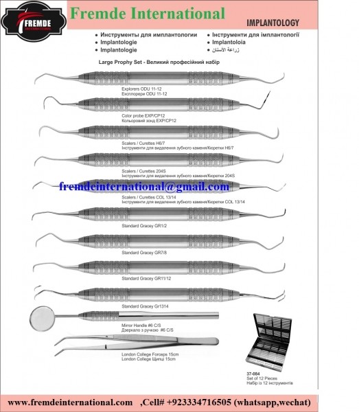 Large Prophy Set border=