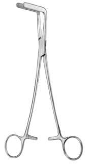 Wertheim-Cullen border=