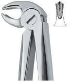 Lower Molars ,Universal 22 border=